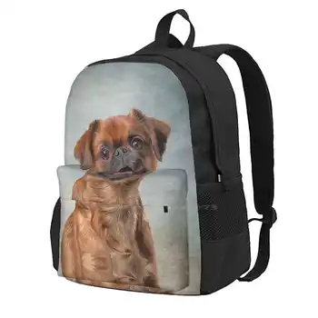 Фигура на Куче от породата Гриффон Брабансон, училищна чанта, Раница с Голям Капацитет, лаптоп, 15 инча, Животни, Красива порода, Очарователна куче